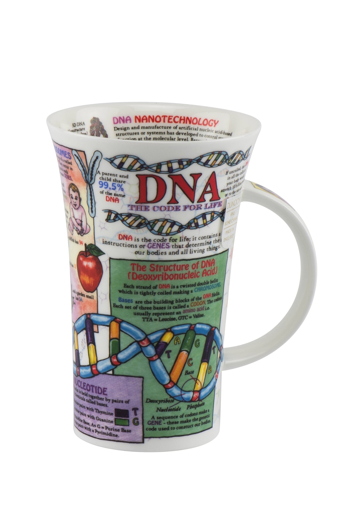 Dunoon Wissens-Becher Teetasse Kaffeetasse Glencoe Porzellan-Becher viele Dekore