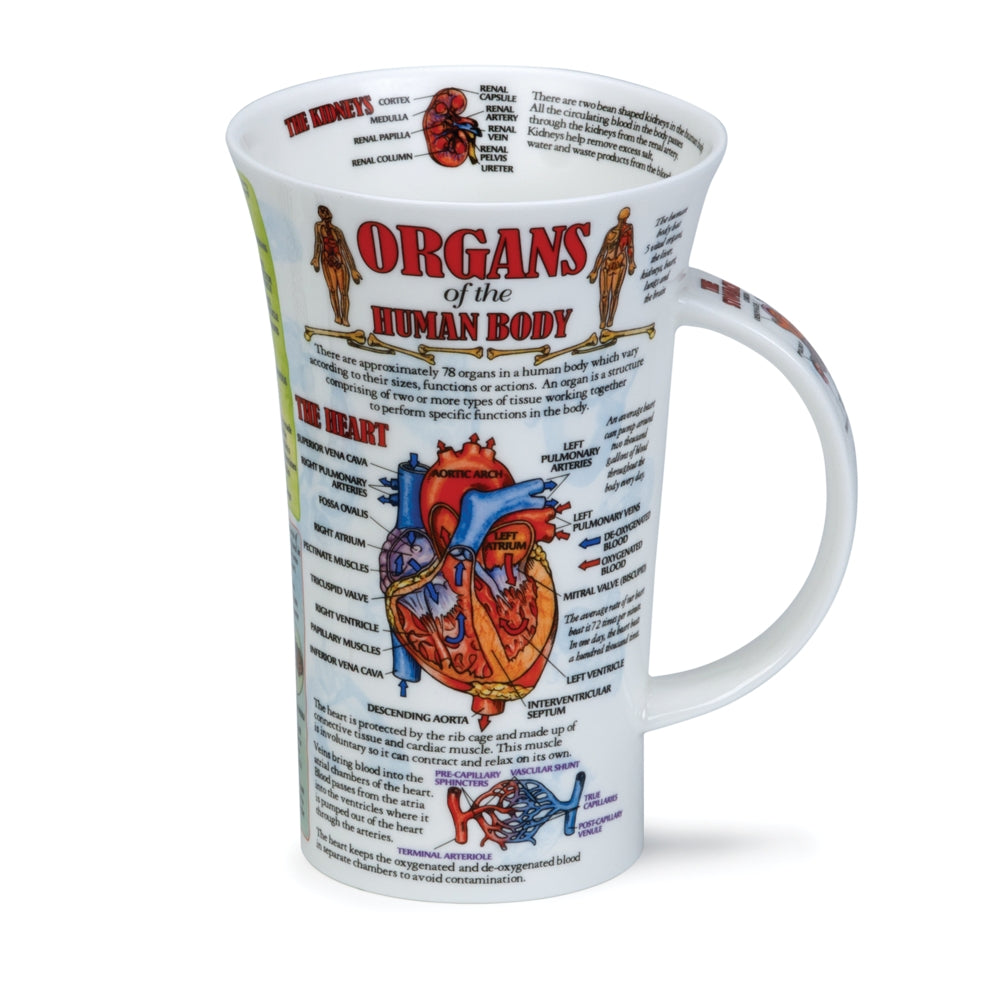 Dunoon Wissens-Becher Teetasse Kaffeetasse Glencoe Porzellan-Becher viele Dekore