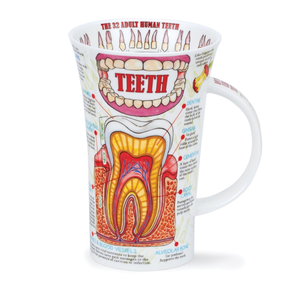Dunoon Wissens-Becher Teetasse Kaffeetasse Glencoe Porzellan-Becher viele Dekore