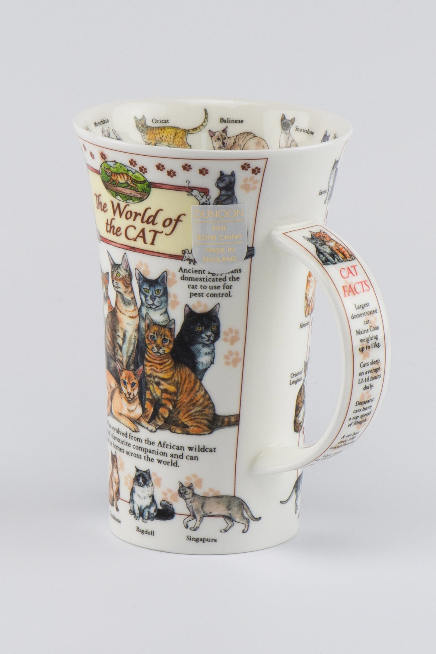 Dunoon Becher Teetasse Kaffeetasse Glencoe World of the Cat