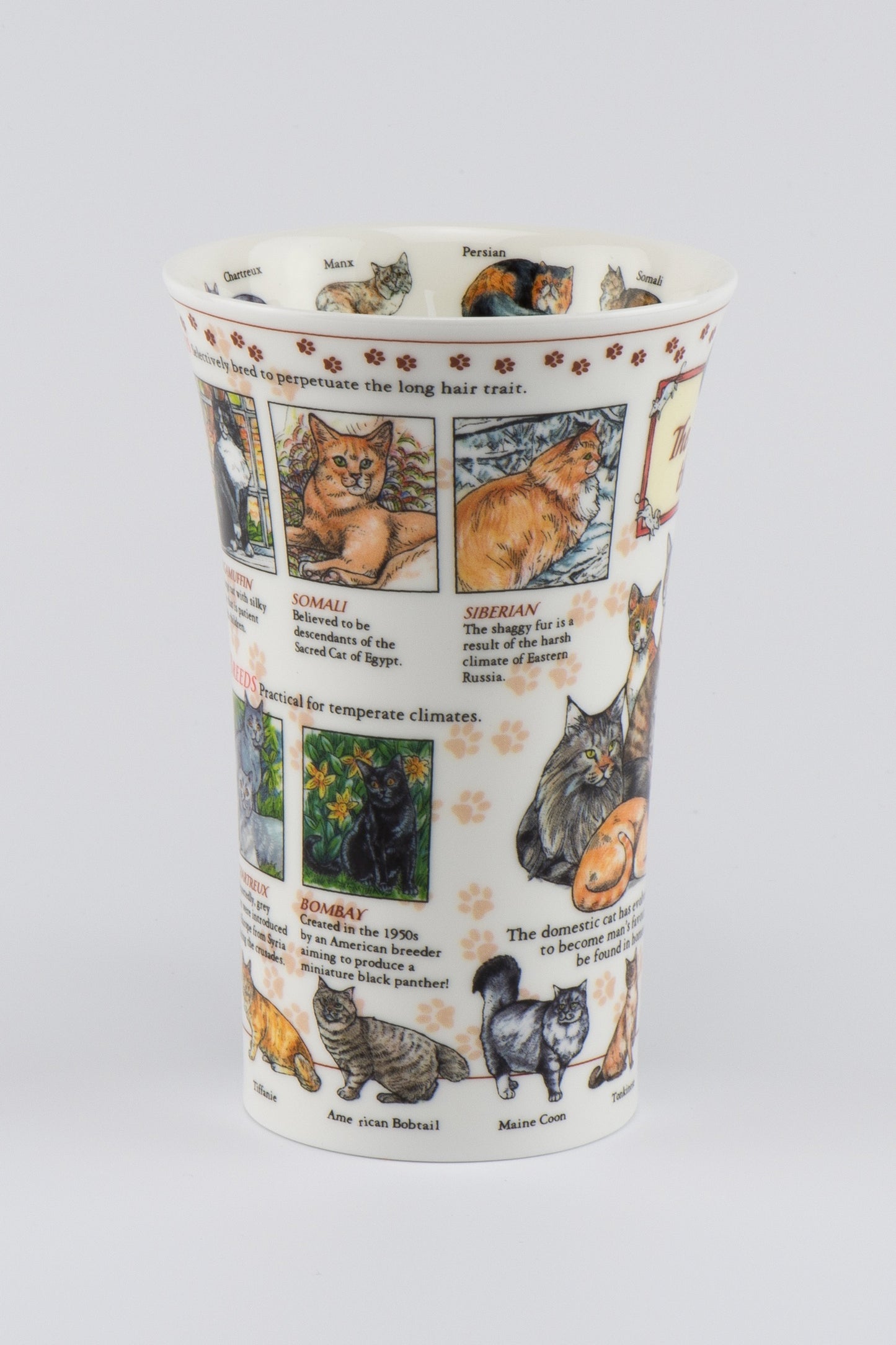 Dunoon Becher Teetasse Kaffeetasse Glencoe World of the Cat