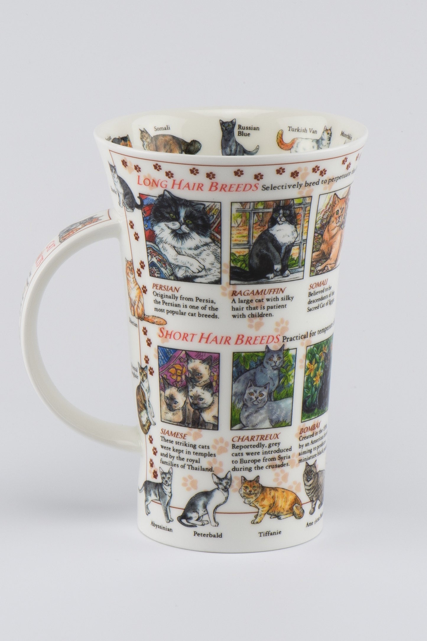 Dunoon Becher Teetasse Kaffeetasse Glencoe World of the Cat