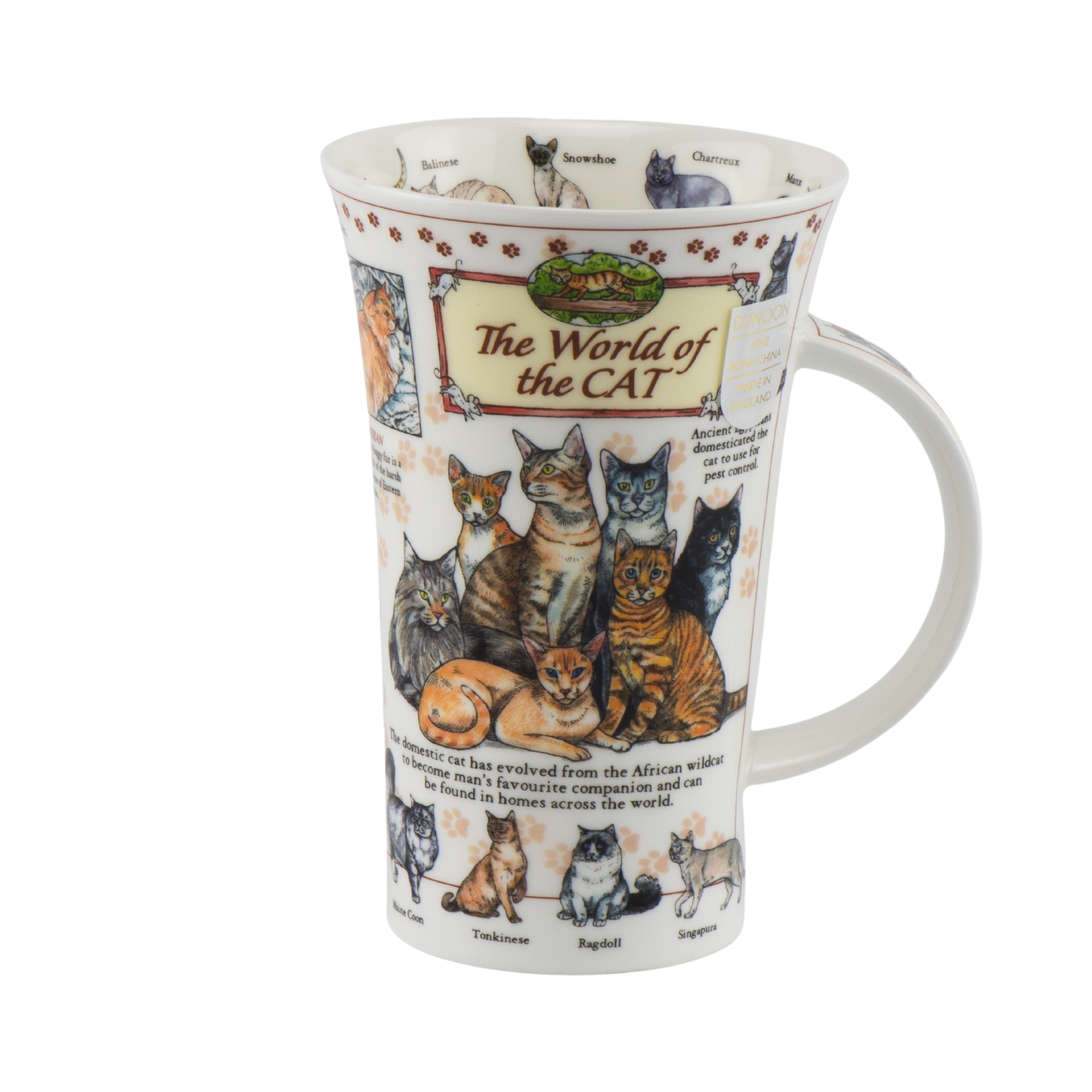 Dunoon Becher Teetasse Kaffeetasse  Glencoe World of the Cat