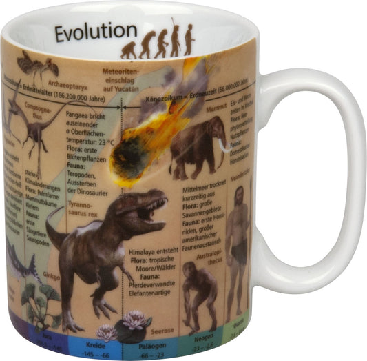 Becher Evolution (dt.)