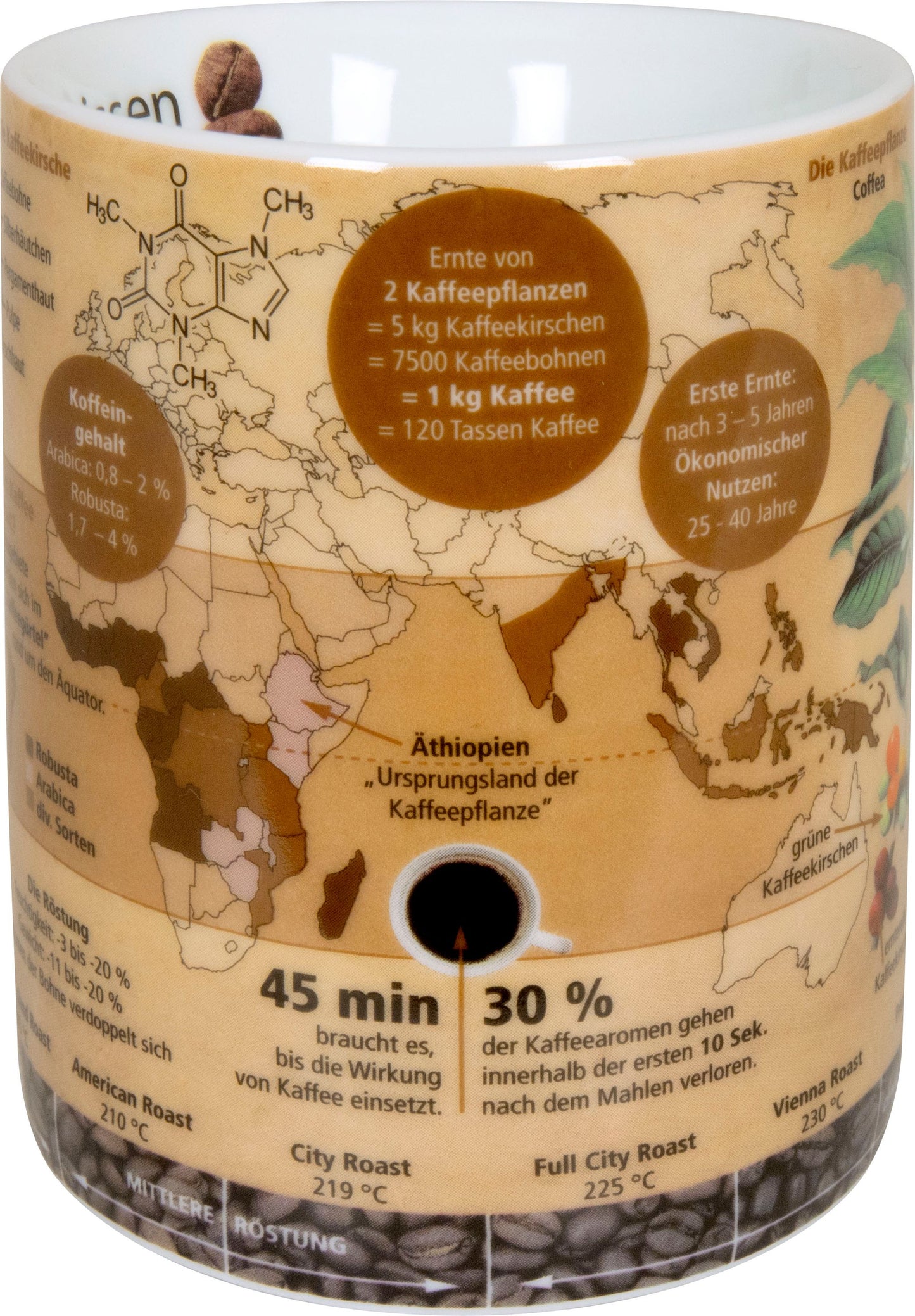 Könitz Kaffeebecher Wissensbecher Geisteswissenschaften Kaffeepot