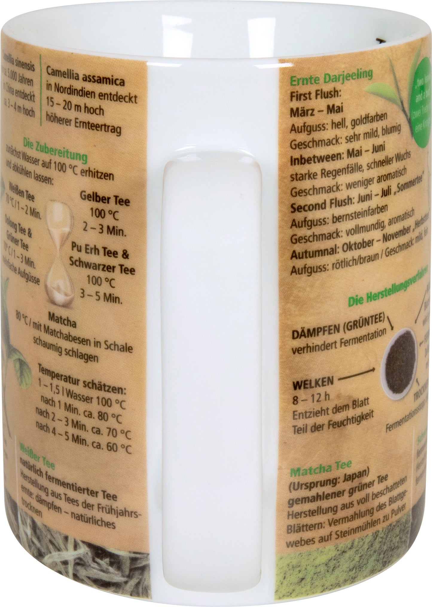 Könitz Kaffeebecher Wissensbecher Geisteswissenschaften Kaffeepot