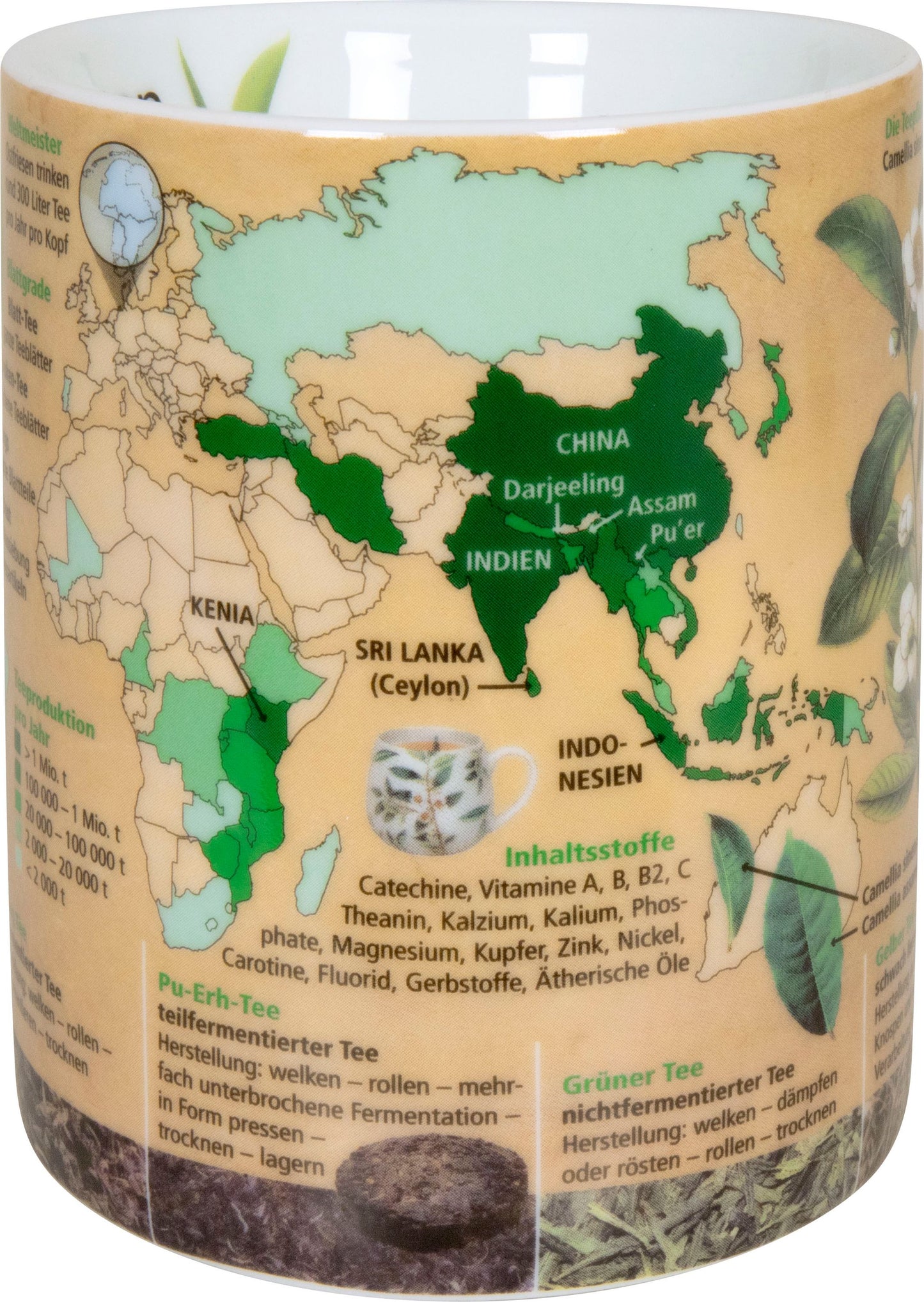 Könitz Kaffeebecher Wissensbecher Geisteswissenschaften Kaffeepot