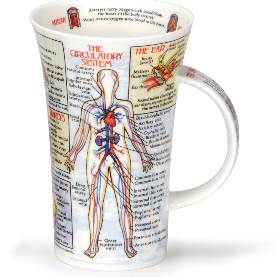 Dunoon Becher Teetasse Kaffeetasse  Glencoe Bodyworks - Kreislaufsystem