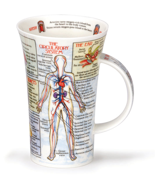 Dunoon Becher Teetasse Kaffeetasse  Glencoe Bodyworks - Kreislaufsystem