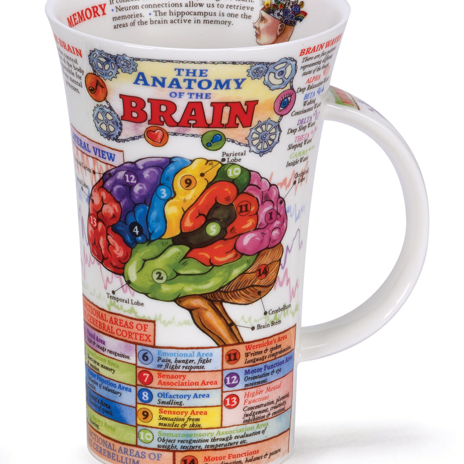 Dunoon Becher Teetasse Kaffeetasse  Glencoe The Brain