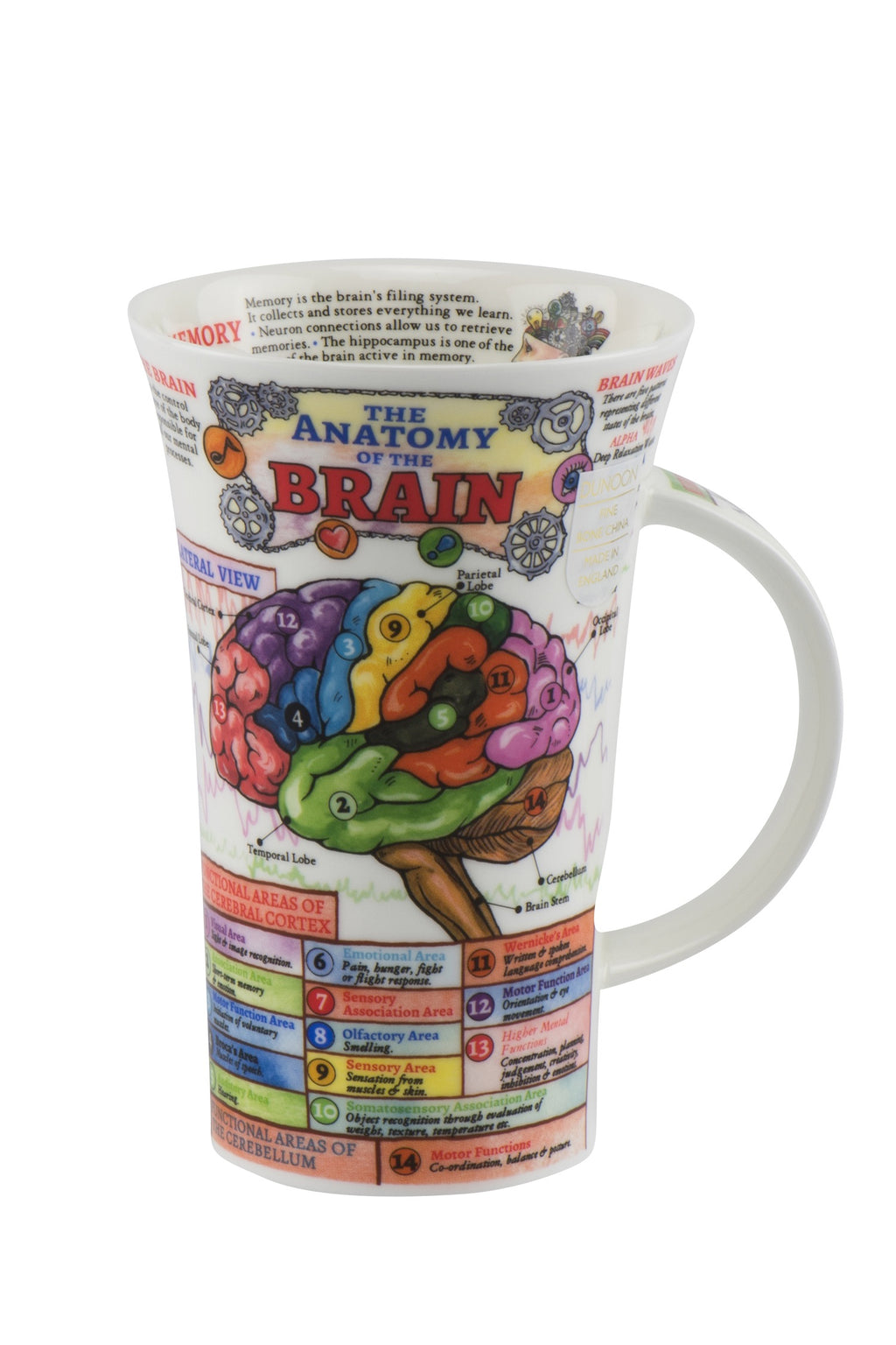 Dunoon Wissens-Becher Teetasse Kaffeetasse Glencoe Porzellan-Becher viele Dekore