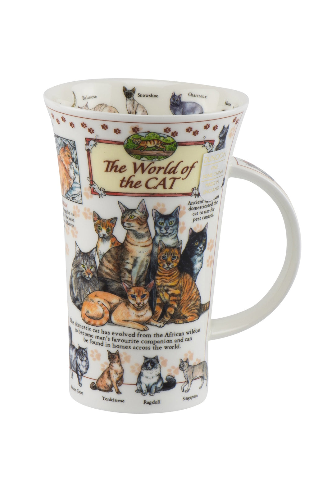 Dunoon Wissens-Becher Teetasse Kaffeetasse Glencoe Porzellan-Becher viele Dekore