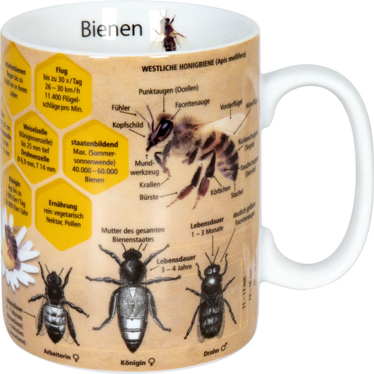 Becher Wissensbecher Biene