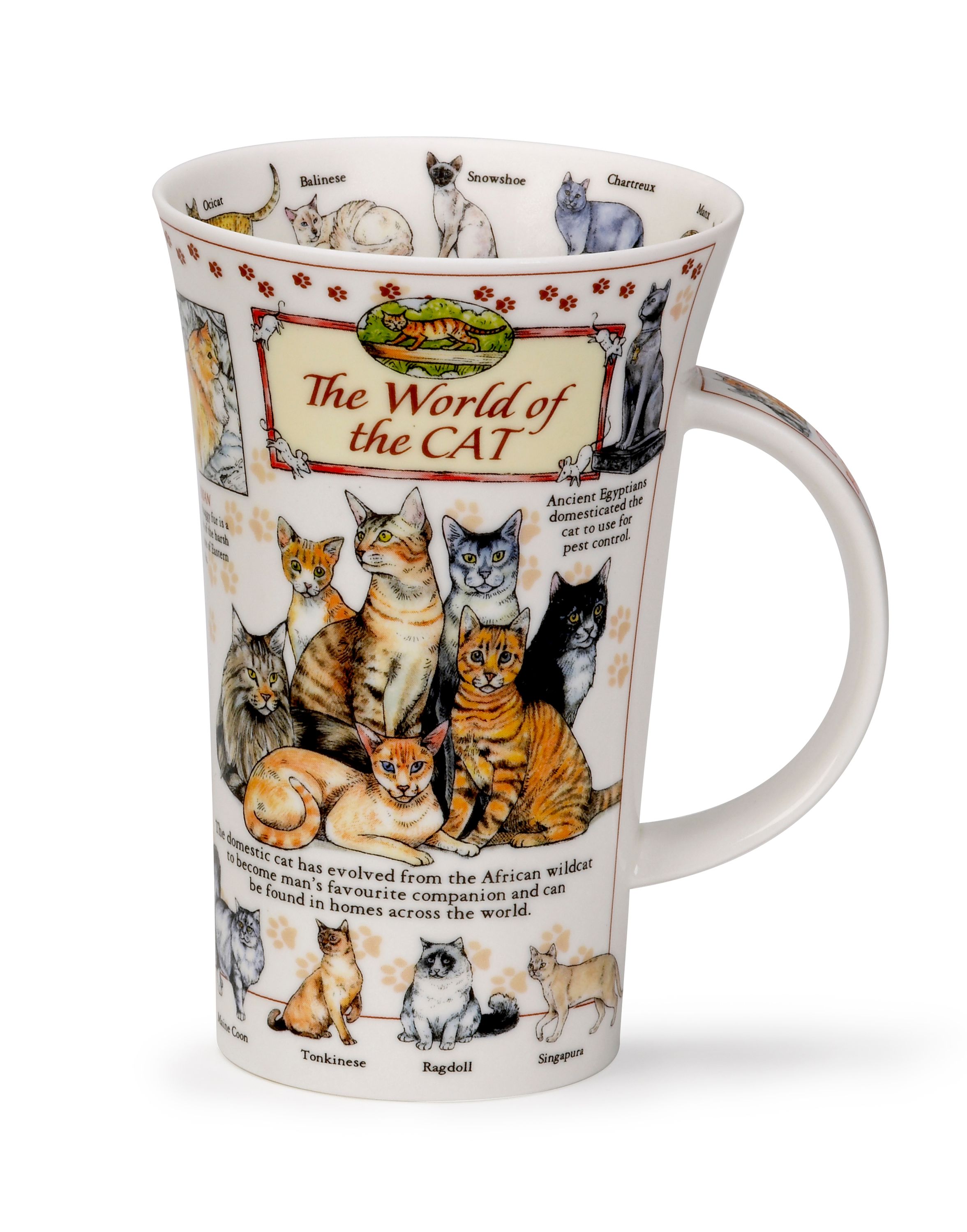 Dunoon Becher Teetasse Kaffeetasse  Glencoe World of the Cat